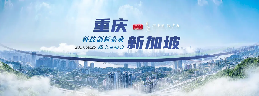 重慶·新加坡科技創新企業線上對接會演講ppt設計