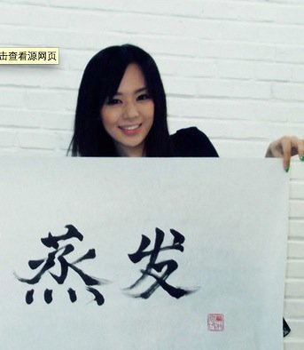 中國公關(guān)人升職進階指南2013版