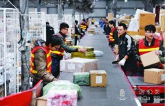 “雙11”將至 菜鳥和國家郵政局公布備戰方案結果